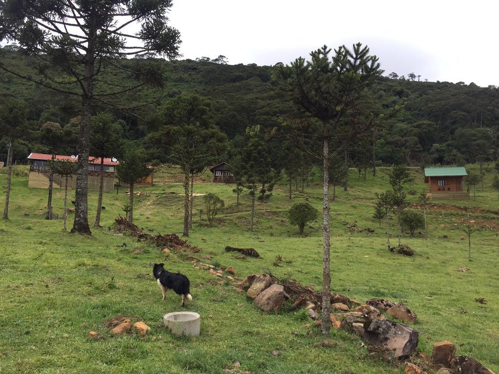 Fazenda Morro Das Torres อูรูเปมา ภายนอก รูปภาพ