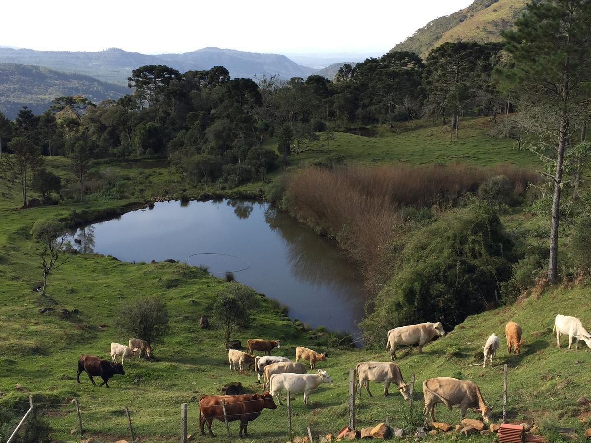 Fazenda Morro Das Torres อูรูเปมา ภายนอก รูปภาพ